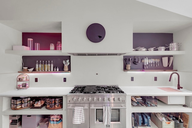 kitchen featuring high end stove and island exhaust hood