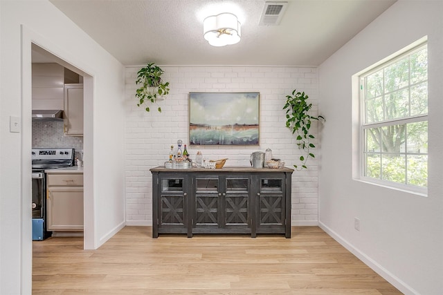 bar featuring light wood-type flooring, plenty of natural light, and electric stove