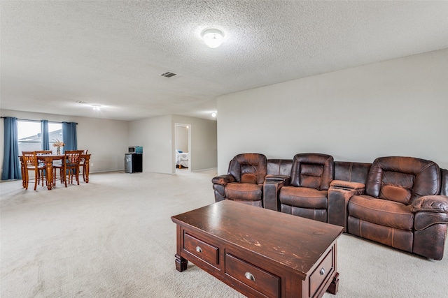 living room featuring a textured ceiling and light carpet