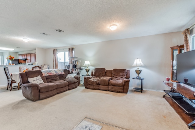 living room featuring a textured ceiling and carpet floors