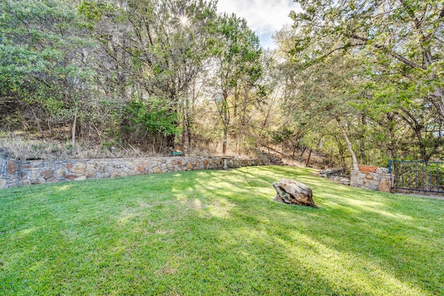 1133 Brackeen Dr, Graford, TX 76449 - view of yard