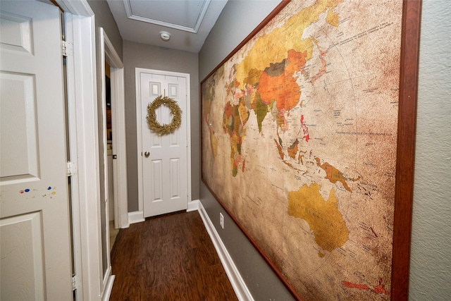 entryway featuring dark hardwood / wood-style floors