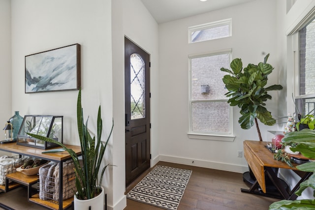 entryway featuring dark hardwood / wood-style floors