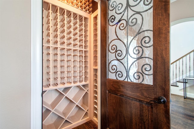 wine room featuring dark wood-type flooring