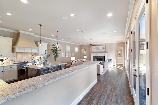 kitchen with white cabinets, light stone countertops, stainless steel stove, and dark hardwood / wood-style flooring