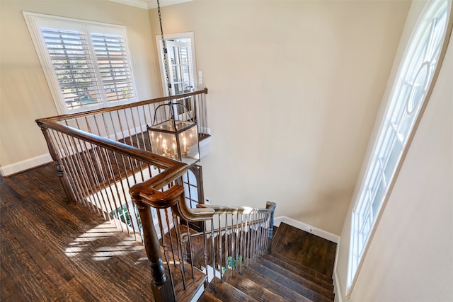 stairway with ornamental molding and hardwood / wood-style floors