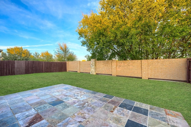 view of yard featuring a patio