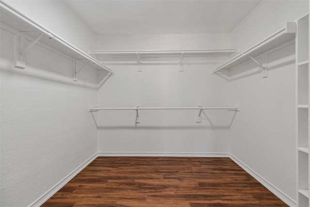 spacious closet with dark wood-type flooring