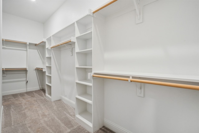 spacious closet with light colored carpet