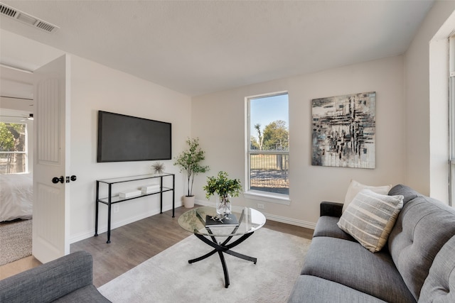 living room with hardwood / wood-style flooring