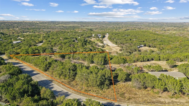 Listing photo 2 for TBD E Stonehill Ct, Lipan TX 76462