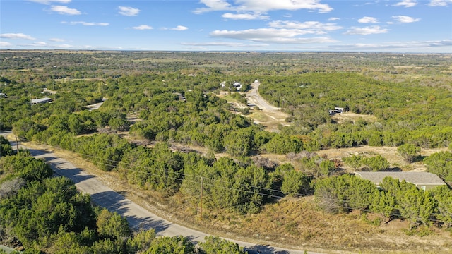 Listing photo 3 for TBD E Stonehill Ct, Lipan TX 76462