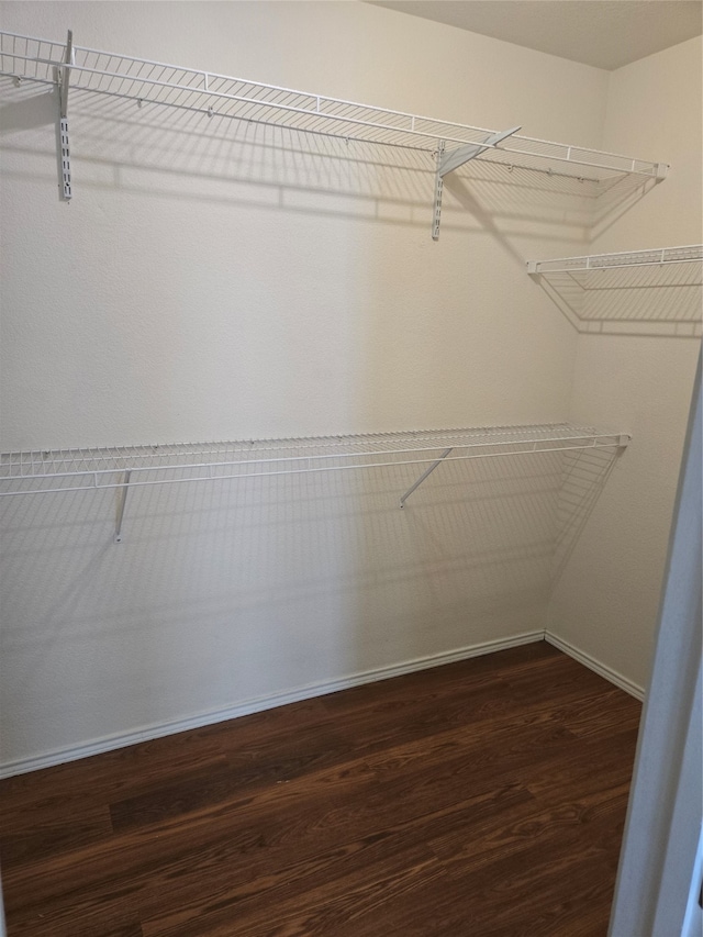 walk in closet with dark wood-type flooring