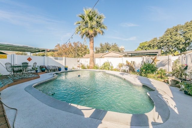 view of pool featuring a patio