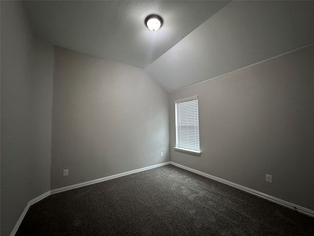 bonus room featuring lofted ceiling, a textured ceiling, and carpet