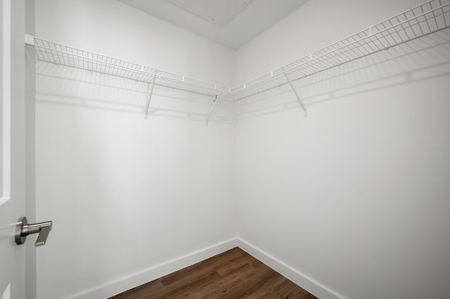 spacious closet with hardwood / wood-style flooring