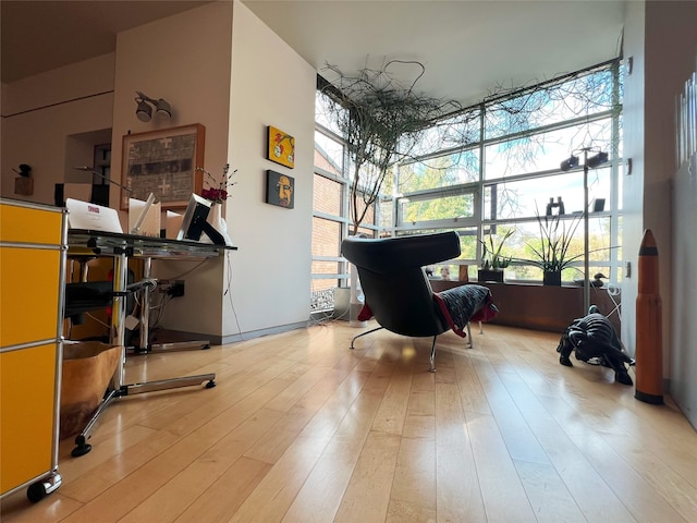 sitting room featuring a towering ceiling, a wealth of natural light, and light hardwood / wood-style flooring