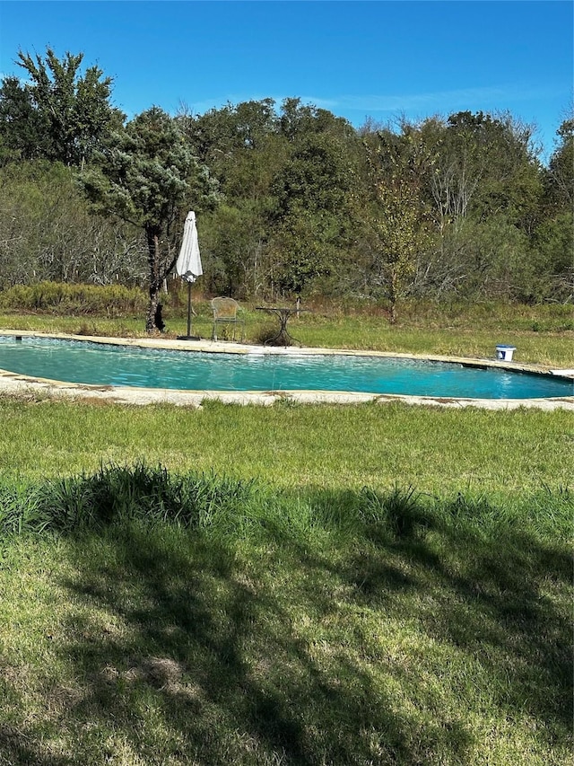 view of swimming pool featuring a yard