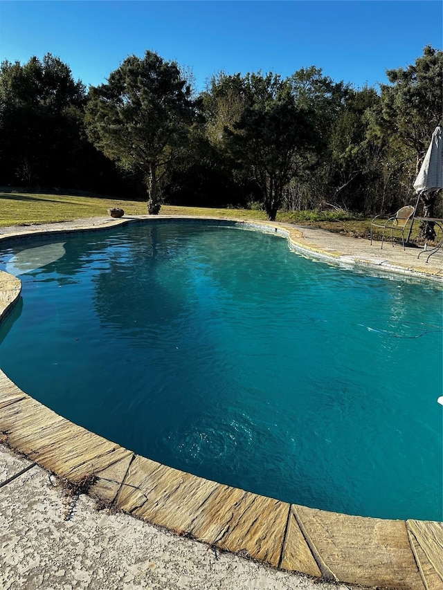 view of outdoor pool