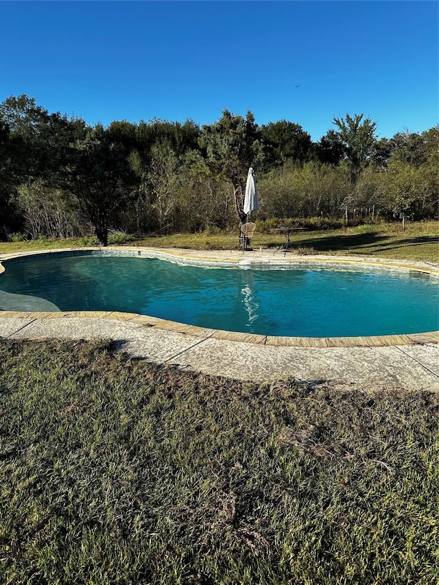 view of pool