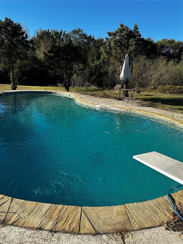 outdoor pool featuring a diving board