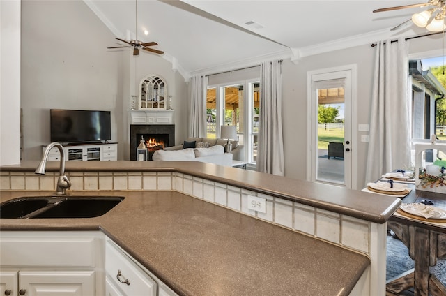 kitchen featuring white cabinetry, a wealth of natural light, sink, and vaulted ceiling