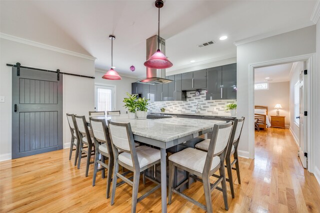 kitchen featuring sink, a barn door, light hardwood / wood-style floors, exhaust hood, and appliances with stainless steel finishes