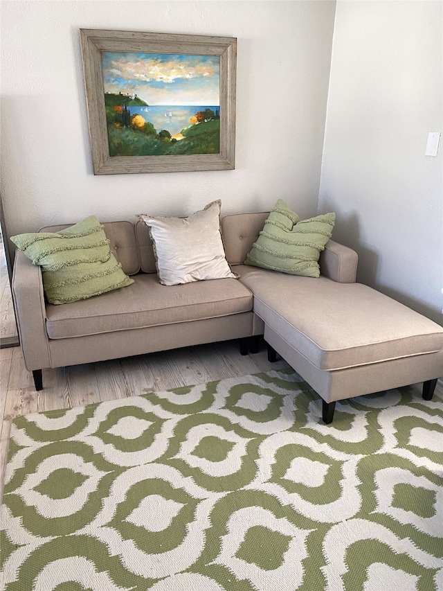 living area featuring light hardwood / wood-style flooring