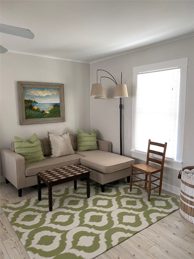 living room featuring light hardwood / wood-style floors and crown molding