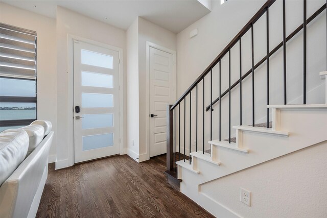 entrance foyer featuring dark wood-type flooring