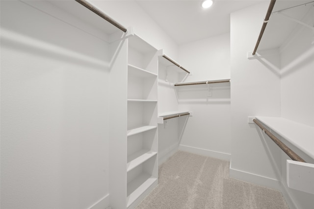 walk in closet featuring light carpet