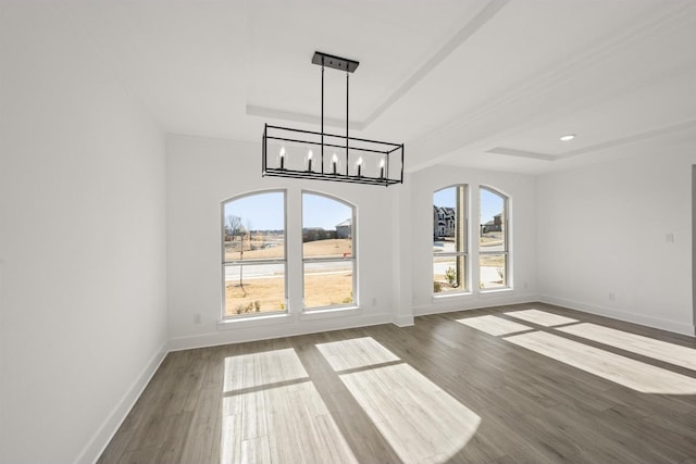 unfurnished dining area with a tray ceiling and hardwood / wood-style floors