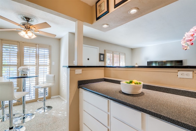 bathroom featuring a healthy amount of sunlight and ceiling fan