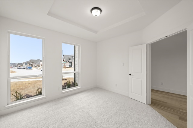 empty room featuring light hardwood / wood-style floors and a tray ceiling