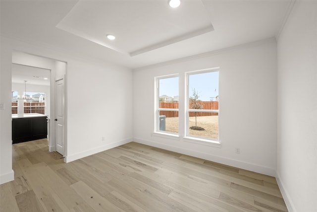 unfurnished room with crown molding, a healthy amount of sunlight, light hardwood / wood-style flooring, and a raised ceiling