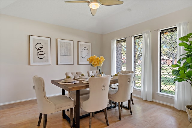 dining room with ceiling fan, plenty of natural light, and light hardwood / wood-style floors