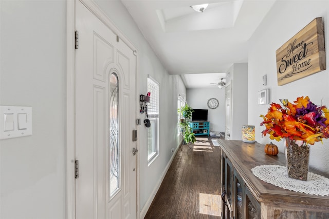 hallway featuring a wealth of natural light and dark hardwood / wood-style flooring