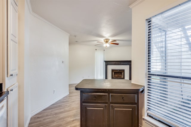 kitchen featuring ceiling fan, light wood-type flooring, dark brown cabinetry, and ornamental molding