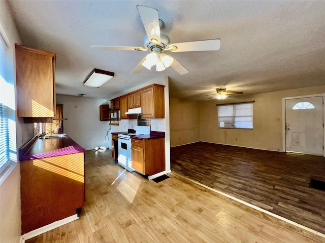 kitchen featuring a wealth of natural light, white electric stove, light hardwood / wood-style floors, and a textured ceiling