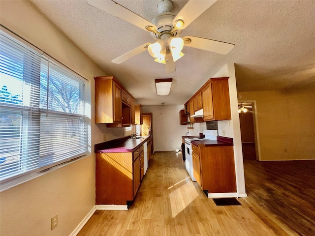 kitchen with sink, white appliances, ceiling fan, a textured ceiling, and light wood-type flooring