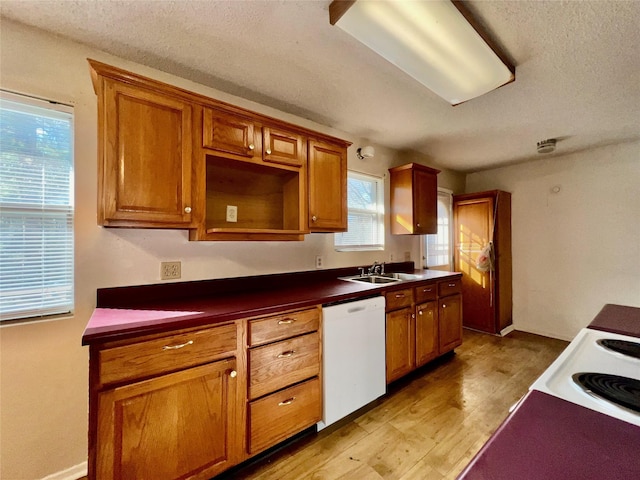 kitchen featuring sink, a textured ceiling, white dishwasher, and light hardwood / wood-style flooring