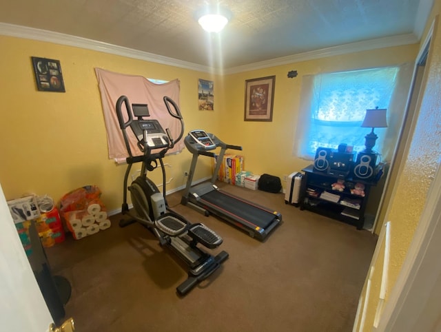 workout area with crown molding and carpet