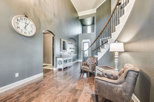 foyer with hardwood / wood-style floors and a high ceiling