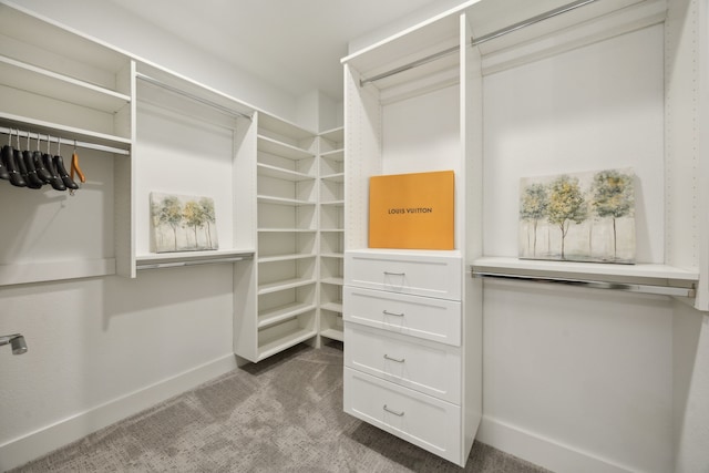 walk in closet featuring carpet floors