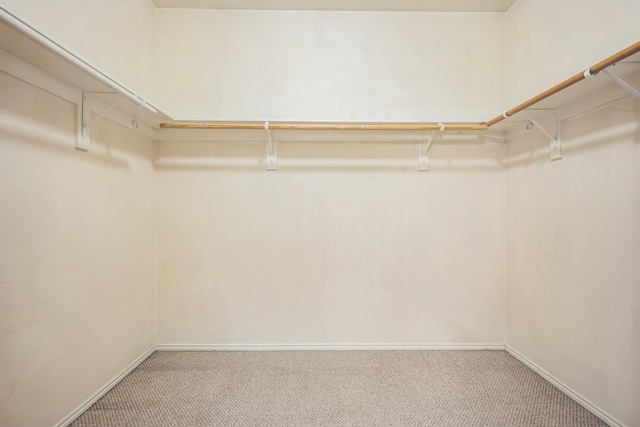 walk in closet with carpet flooring