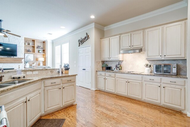 kitchen featuring ornamental molding, open floor plan, light wood-type flooring, under cabinet range hood, and a sink