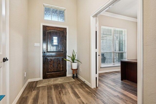 entryway featuring crown molding, plenty of natural light, and wood-type flooring