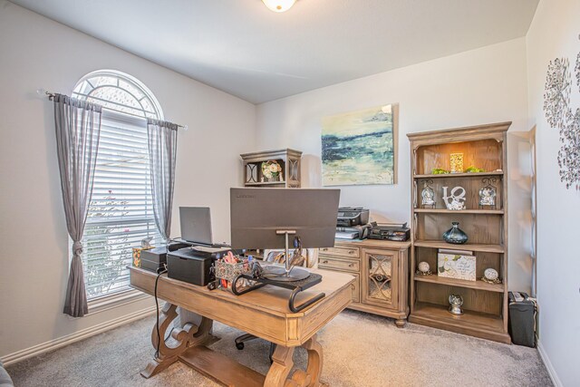 carpeted home office with a wealth of natural light