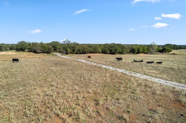 Listing photo 3 for TBD Faulkner Rd, Sunset TX 76270