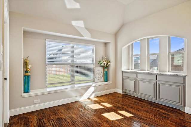 spare room featuring dark hardwood / wood-style flooring and vaulted ceiling